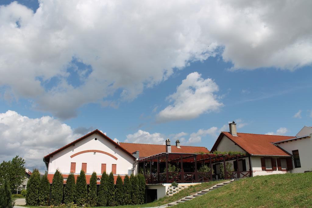 Hotel Tiffan'S Pinceszet Es Panzio Villány Zewnętrze zdjęcie