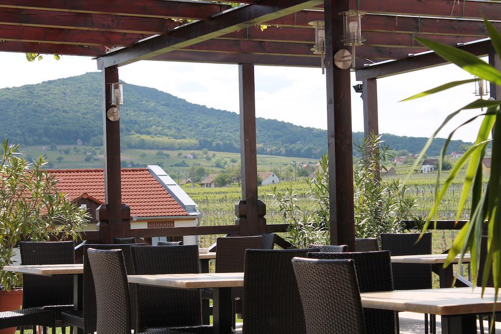 Hotel Tiffan'S Pinceszet Es Panzio Villány Zewnętrze zdjęcie